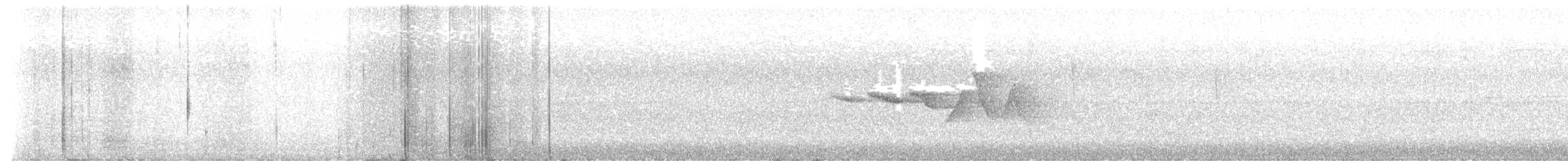 Swainson's Warbler - ML634275930