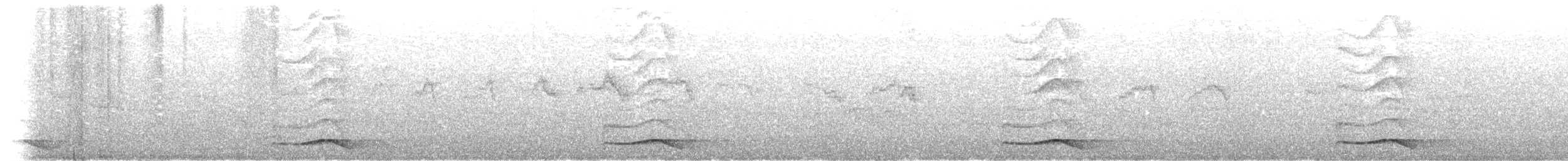 kukačka koel - ML634278542