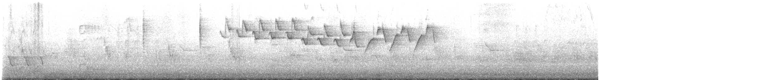 סבכון עקוד - ML634278554