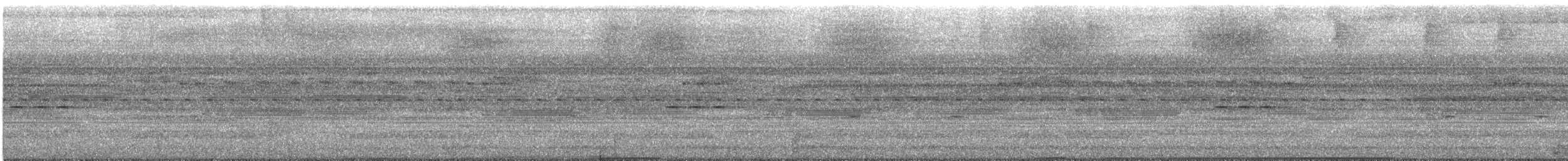 Nocturnal Curassow - ML634285545