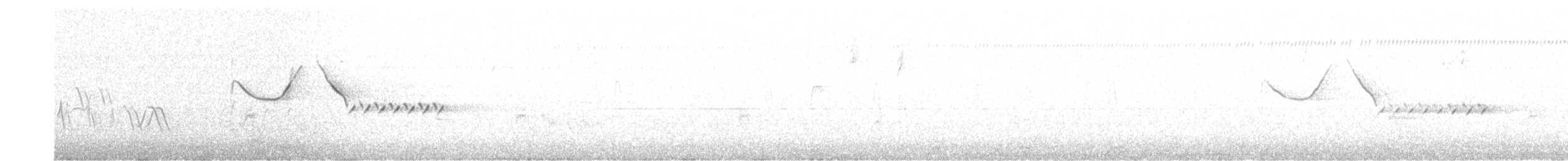 Bewick's Wren - ML634285967