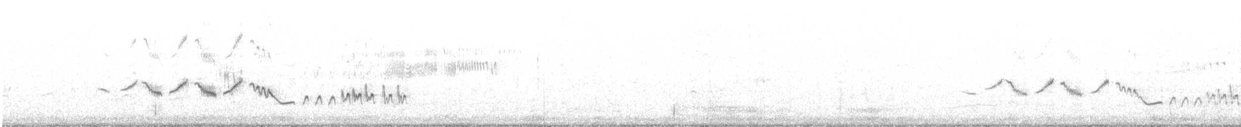 コシジロイソヒヨドリ - ML634286303