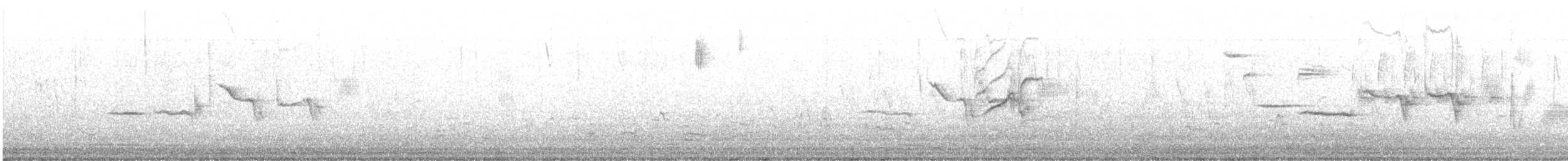 strnadec bělopásý - ML634287756