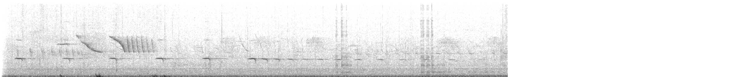 Spotted Nothura - ML634287866