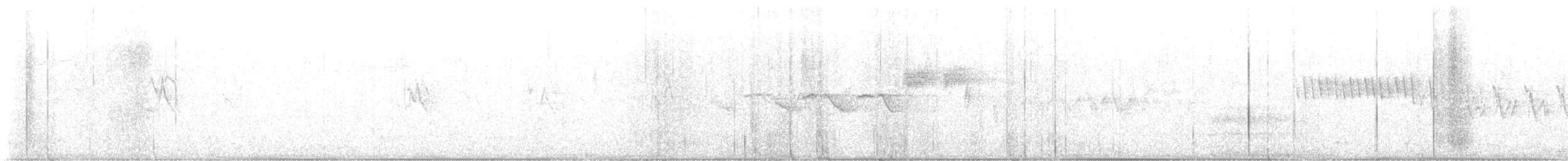 Townsend's Warbler - ML634293646