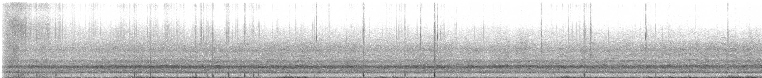 Snow Goose - ML634293813