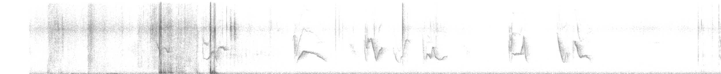 vireo sp. - ML634302038