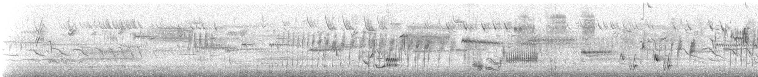 Brown Thrasher - ML634302492