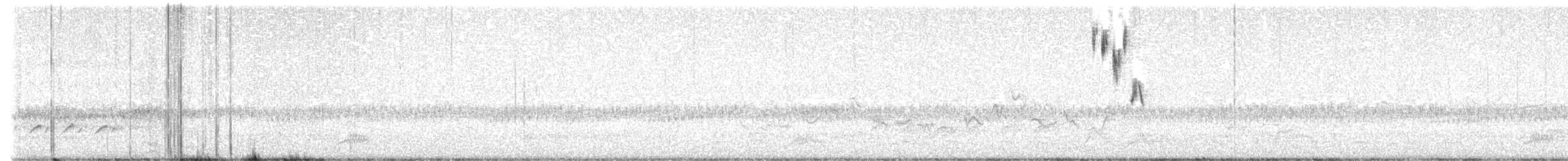 Henslow's Sparrow - ML634302656