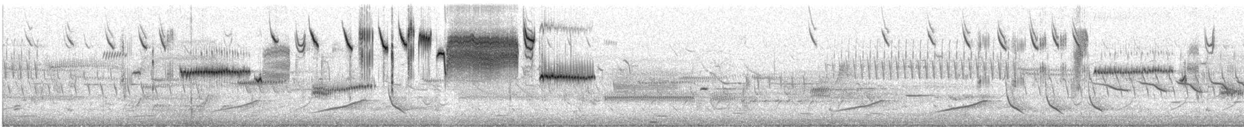 稀樹草鵐(sandwichensis群) - ML634302708