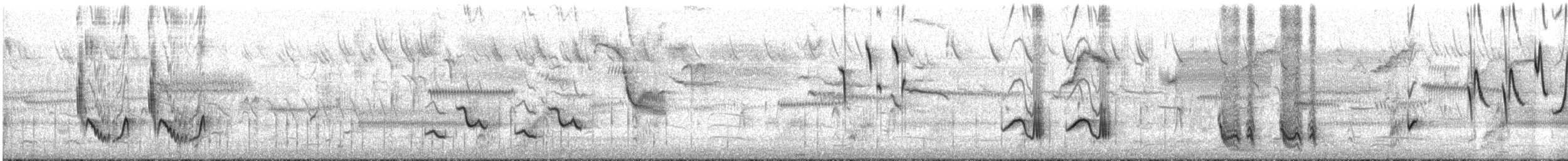 Brown Thrasher - ML634302991