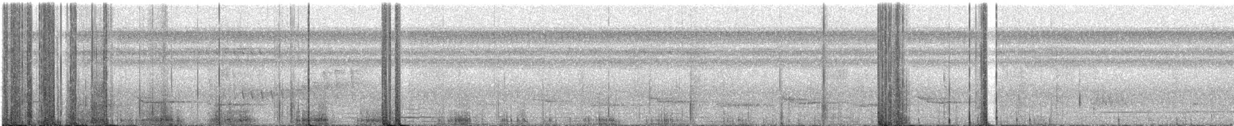 Hauxwell's Thrush - ML634303427