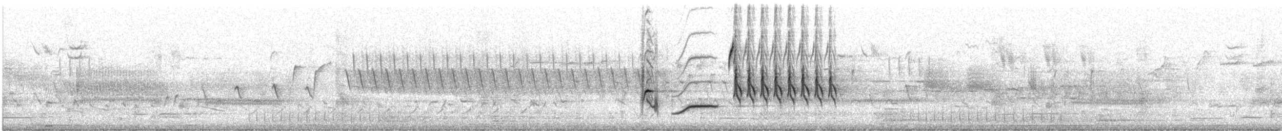 Eastern Towhee (Red-eyed) - ML634303495