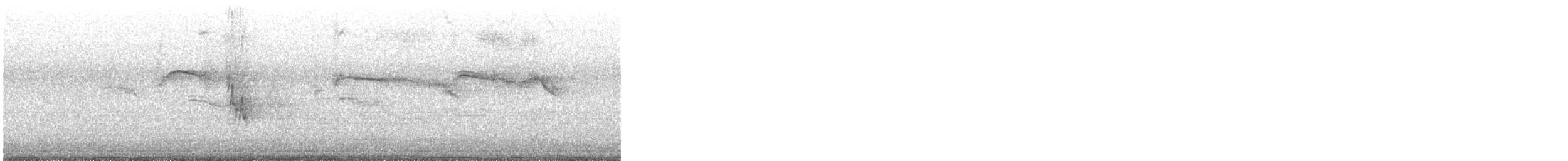 סיס קנרי - ML634305277