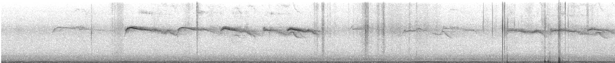 סיס קנרי - ML634305410