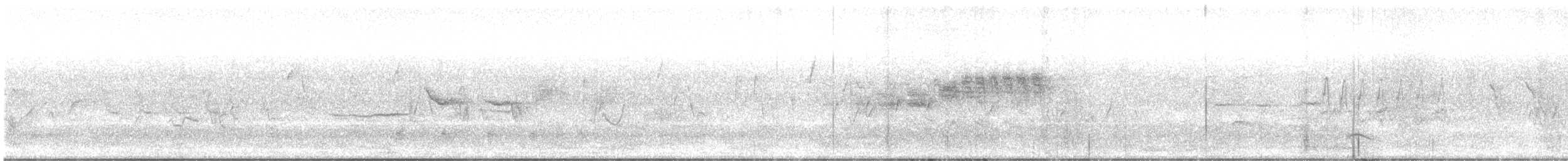 strnadec bělopásý - ML634305879