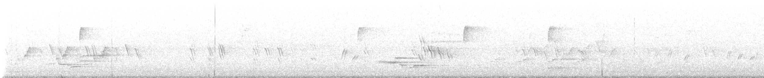 Wood Thrush - ML634307295