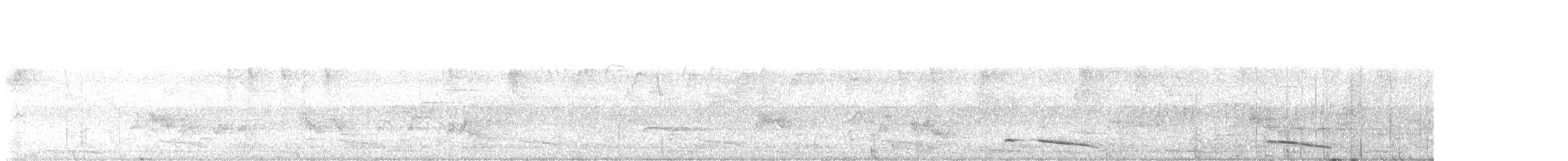 Barbu géant - ML634308545