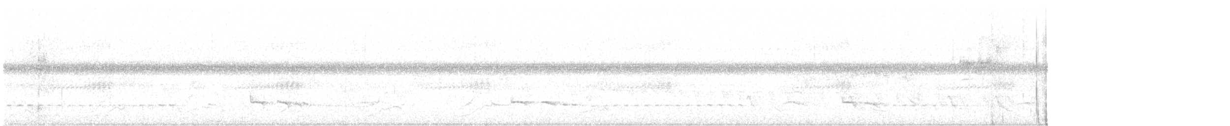 Northern/Southern White-fringed Antwren - ML634309221