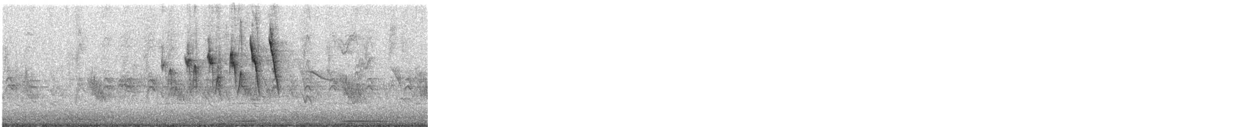 Wilson's Warbler - ML634311798