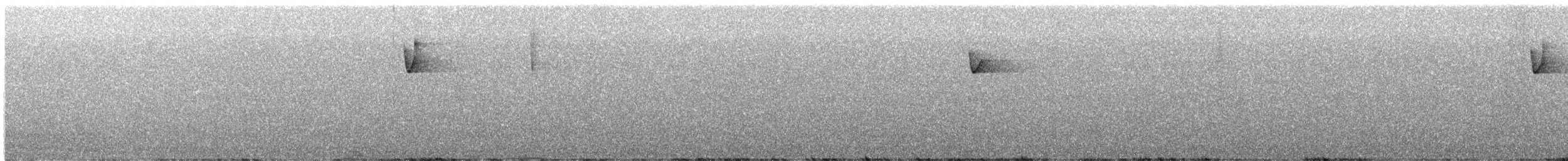 キメジロハエトリ - ML634315893