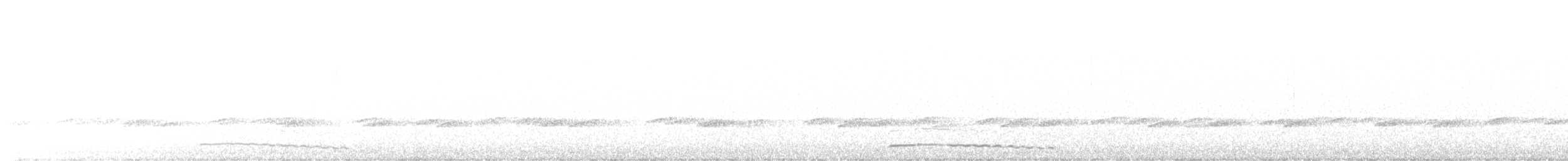 Petit-duc maculé - ML634317283