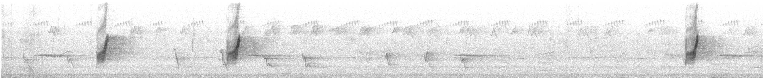 Restless Flycatcher - ML634320450