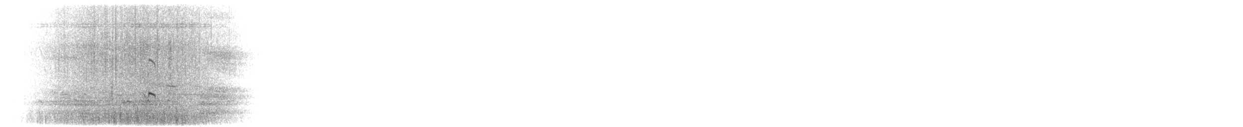 American Avocet - ML634321488