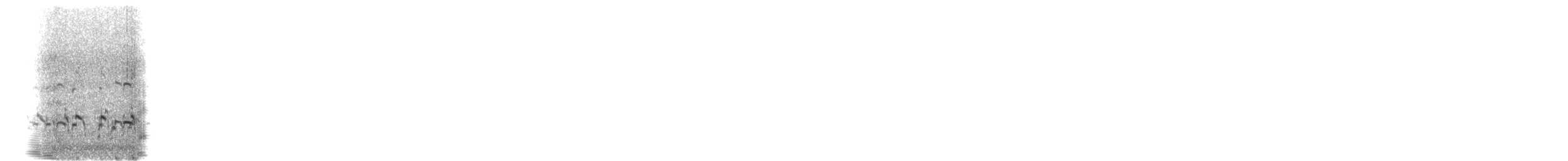 American Avocet - ML634321489
