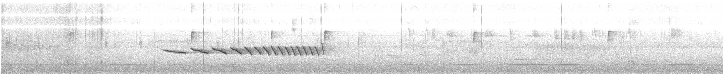 Chingolo Campestre - ML634321890