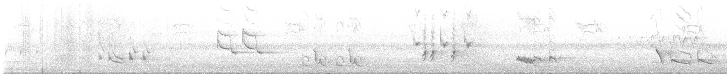 Brown Thrasher - ML634322077