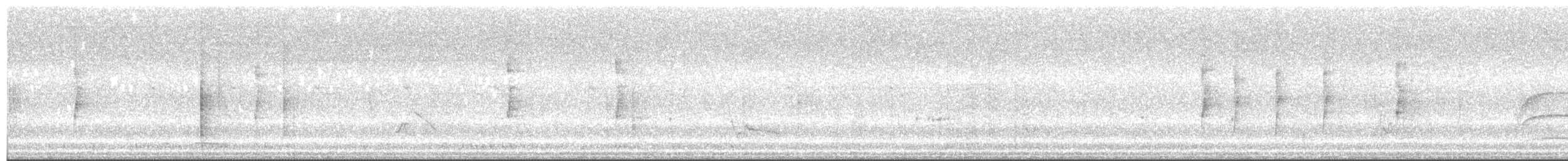 Mottle-cheeked Tyrannulet - ML634324252