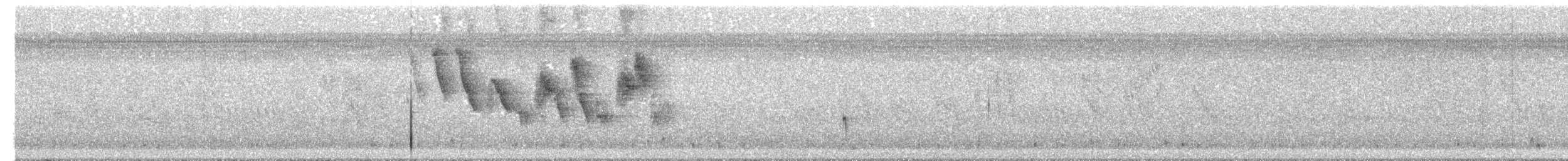 Sporophile à col double - ML634326544