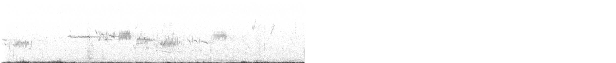 strnadec bělopásý - ML634327510