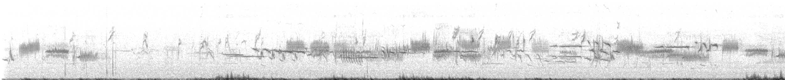strnadec bělopásý - ML634327511