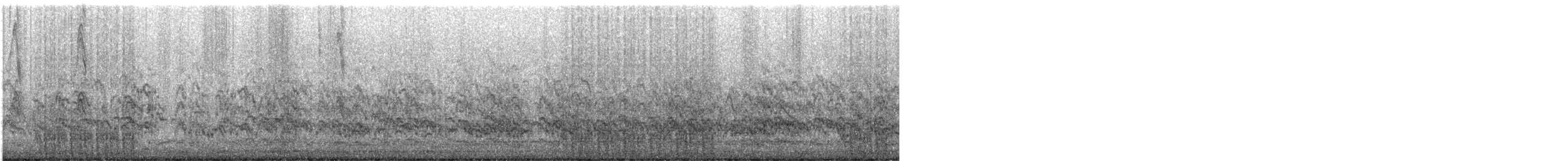 Elegant Tern - ML634328518