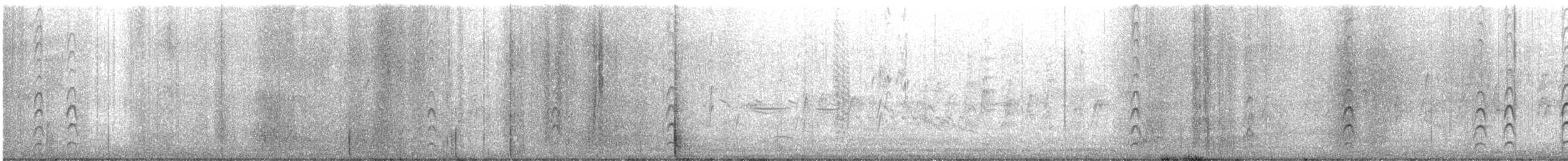 Elegant Tern - ML634329410