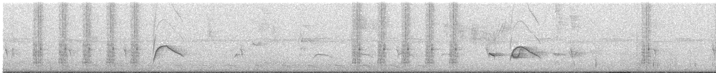 Moucherolle à longs brins - ML634329951