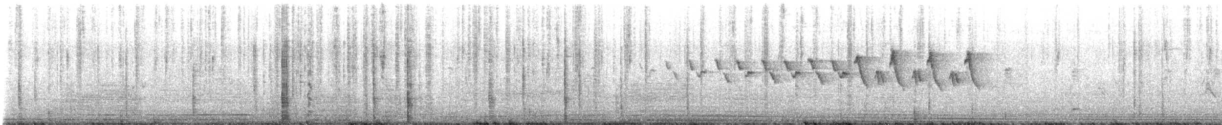 Yellow-throated Warbler - ML634330381