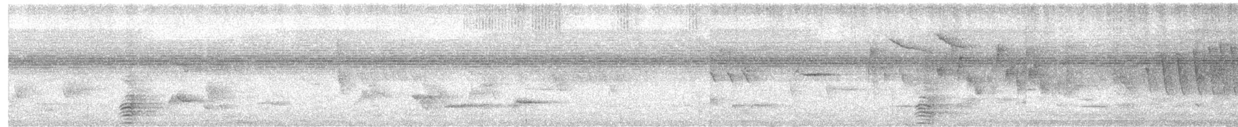 Grauwangen-Hornvogel - ML634336359
