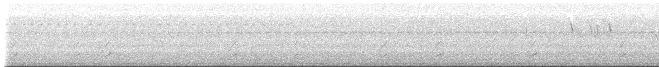 Javan Plover - ML634337608