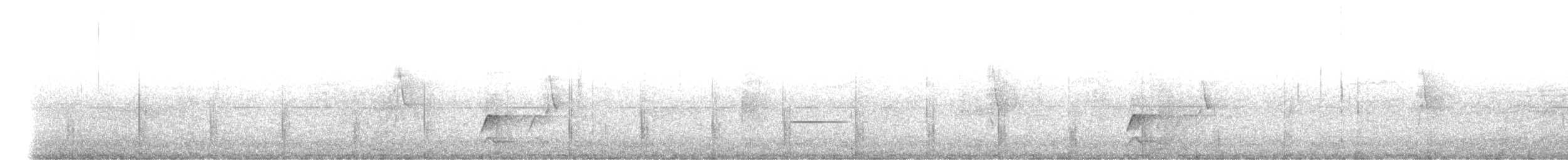 Civetta - ML634339599
