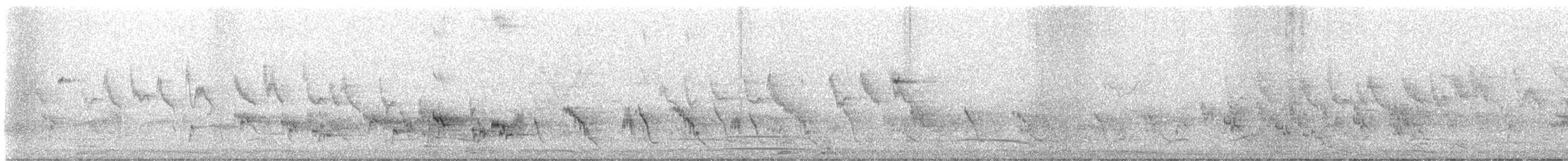 עלווית בהירת-רגל - ML634342485