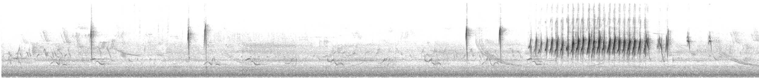 Palm Warbler (Yellow) - ML634342887