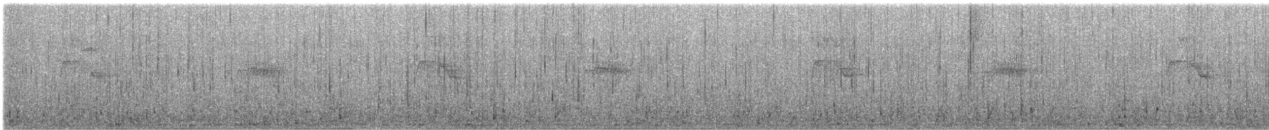 Black Phoebe - ML634343719