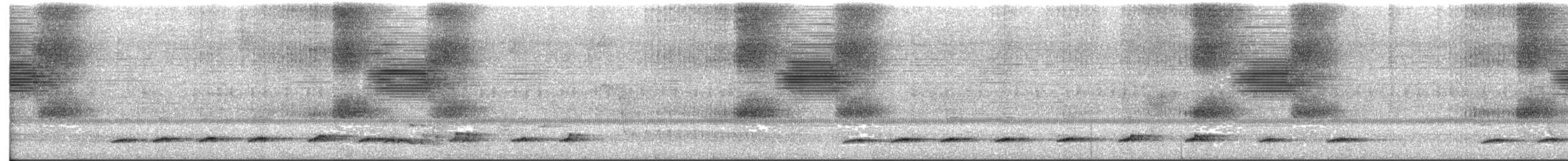 Wing-barred Piprites - ML634347228