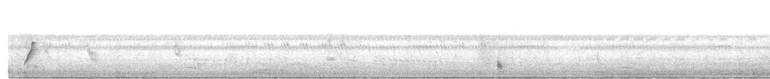 Malaysian Pied-Fantail - ML634347523