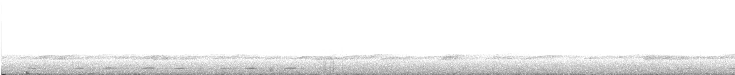 sýc americký - ML634351337