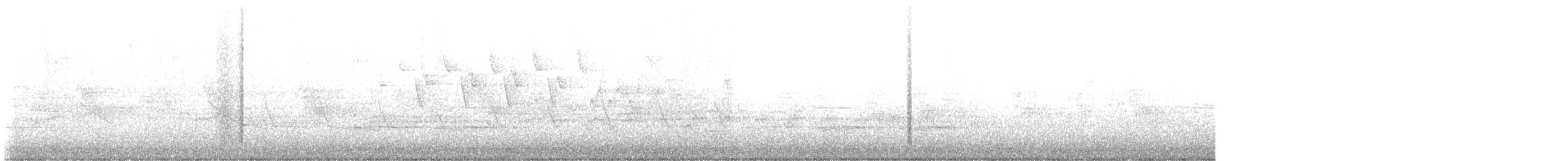 Nashville Warbler - ML634352380