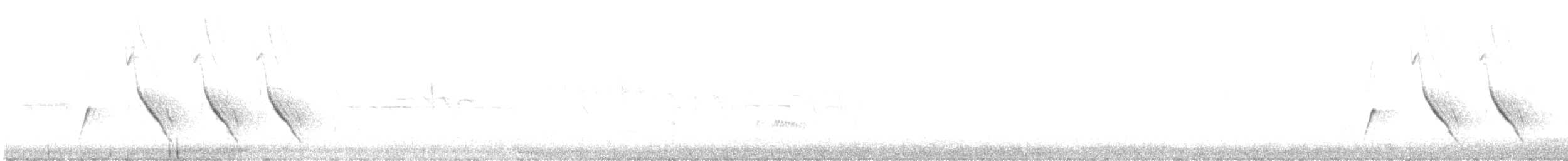 Pyrrhuloxia - ML634362276